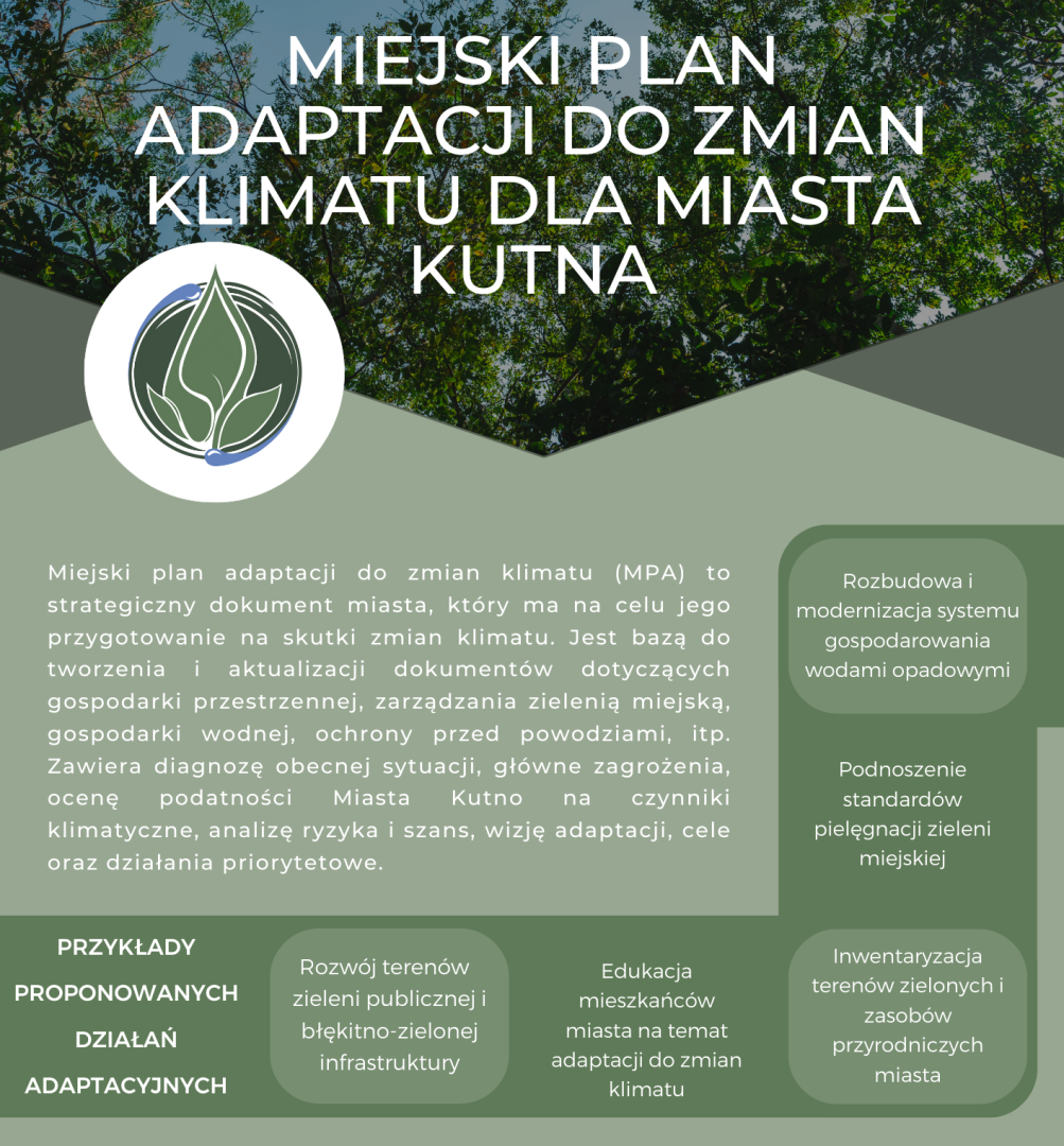 grafika